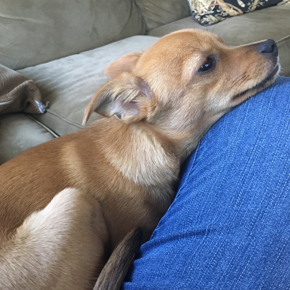 Meet your Posher, Vanessa